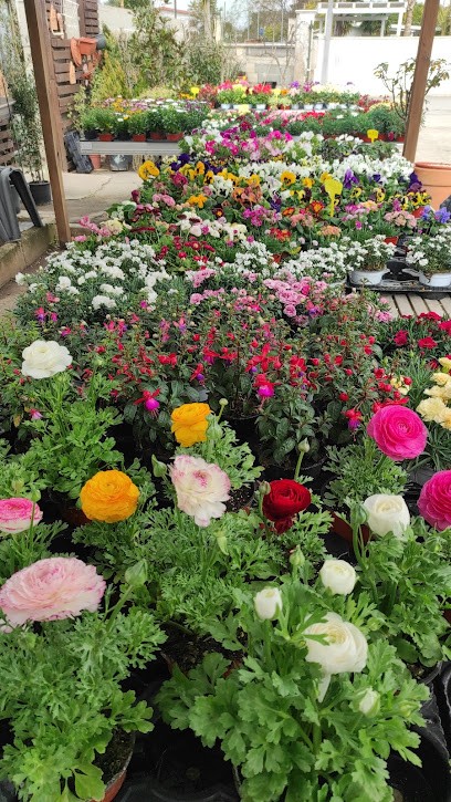 Vivaio Sempre Verde, Fiorista a Taranto