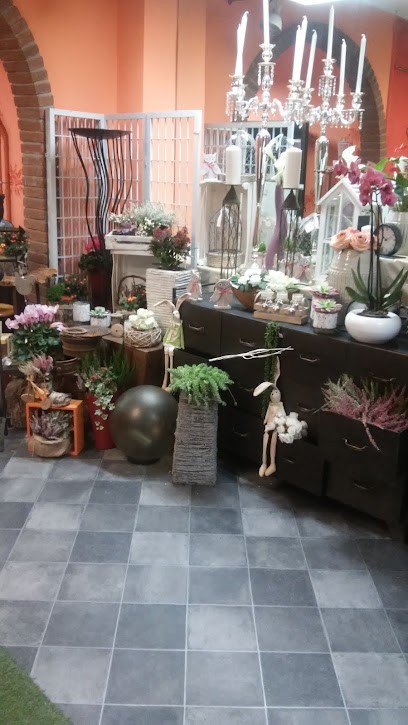 Franca Fiori Di Franzero Franca, Fiorista a Canale