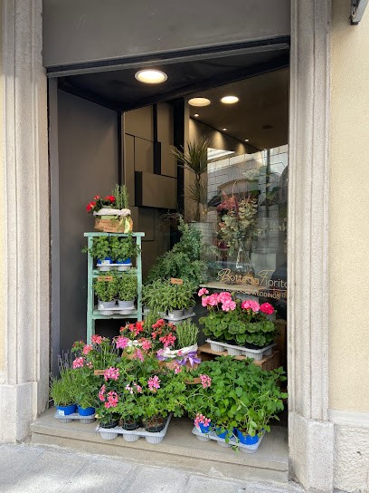 La Bottega Fiorita, Fiorista a Ferrara