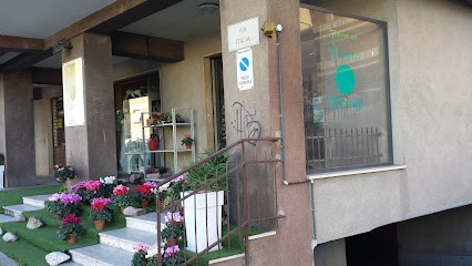 Punto Verde, Fiorista a Falconara Marittima