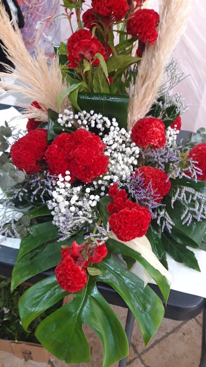 Primavera, Fiorista a Lucera