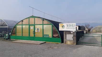 Floricoltura Modolo Adriano, Fiorista a Godega di Sant'Urbano