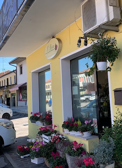 E' ROSA FIORISTA, Fiorista a Silea