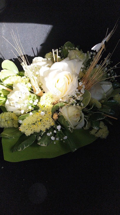 De Rosa Fiori E Piante, Fiorista a Napoli