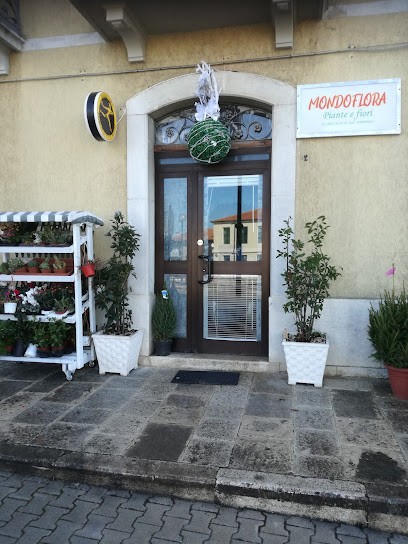 fioreria Griffo, Fiorista a Vinchiaturo