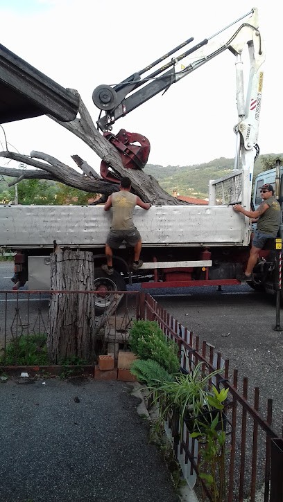 Adriana Fiori, Fiorista a Montecchia di Crosara