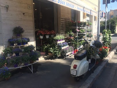 La Rosa Blu, Fiorista a Livorno