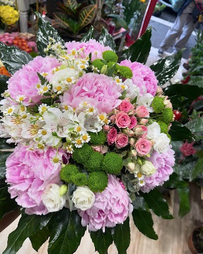 Fiori E Piante Bruno Buozzi, Fiorista a Roma