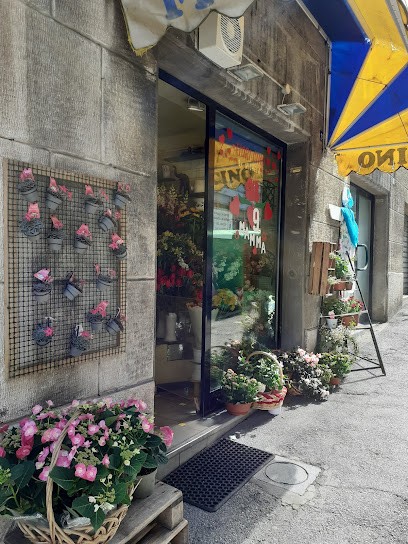 Fiori Cino, Fiorista a Trieste