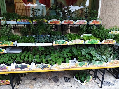 La Petite Boutique di Samanta Campaner, Fiorista a Cinto Caomaggiore