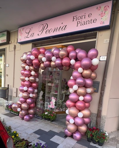La Peonia Fiori&Piante, Fiorista a Sestu
