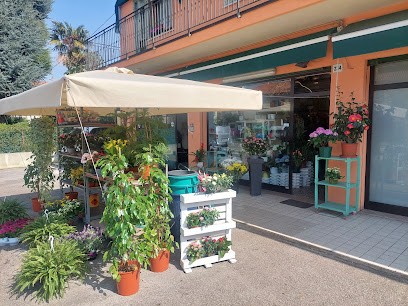 Fioreria Orchidea Blu Di Daffre' S.N.C., Fiorista a Venezia