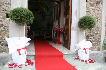 Romantic Flowers Di Butera Valentina, Fiorista a Lamezia Terme