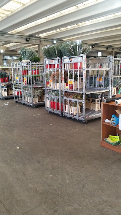 Fleurametz Italia S.r.l., Fiorista a Taggia