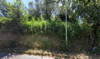 La bottega dei fiori, Fiorista a Minturno