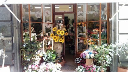 SempreVerde Genova, Fiorista a Genova