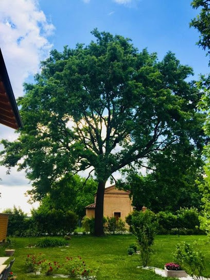 Fiorfiore di Rosati Massimo, Fiorista a Bologna