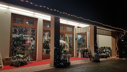 Fioreria Il Pollice Verde, Fiorista a Paese