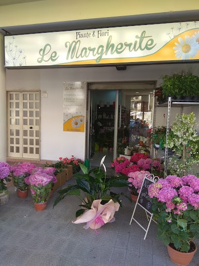 Le Margherite, Fiorista a Agropoli
