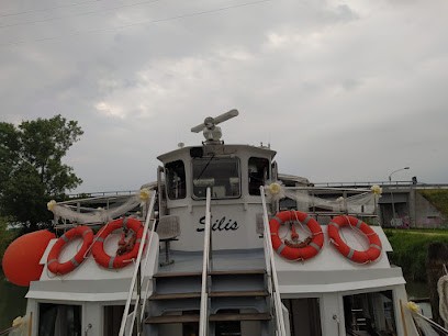 Fioreria Sogni In Fiore Di Vo Xuan Thao A Casale Sul Sile, Fiorista a Casale sul Sile