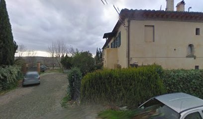 Pensiero Verde di Massimiliano Lippi, Fiorista a Montespertoli