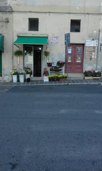 Piante E Fiori - Baldoni Paolo, Fiorista a Montopoli di Sabina