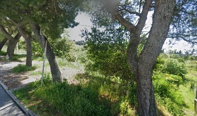 Guidi Alessandra, Fiorista a Falconara Marittima