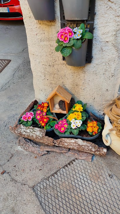 Ortofloricultura Tomasi, Fiorista a Trento