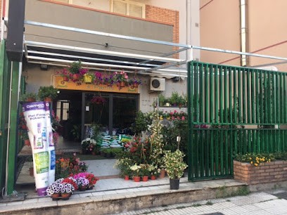 Alba Sicula, Fiorista a Sant'Alessio Siculo