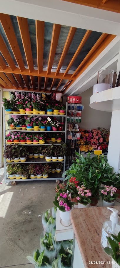 La Fioreria, Fiorista a Santa Croce Camerina