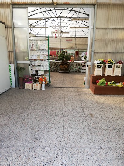 Floricoltura Zanetti, Fiorista a Monselice