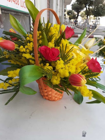 Il Pollice Verde & Co., Fiorista a Camposano