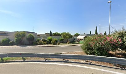 Petrarca Natalina, Fiorista a Fiumicino