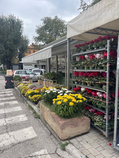Fiorilinda, Fiorista a Pieve di Cento