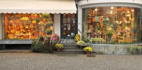 Mones Fiori, Fiorista a Somma Lombardo