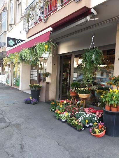 Fioreria Oscar - Interflora, Fiorista a Conegliano