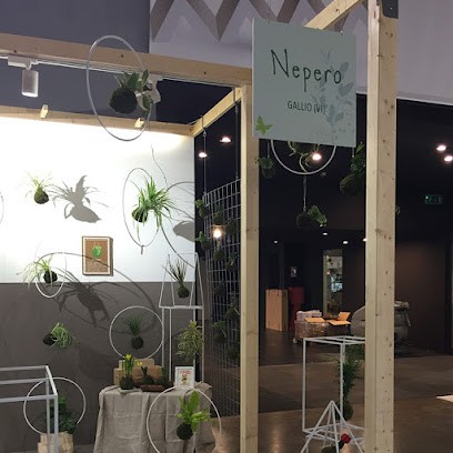 Nepero Decor - Kokedama E Idee Green, Fiorista a Gallio