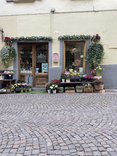 Selva Domestica, Fiorista a Saluzzo