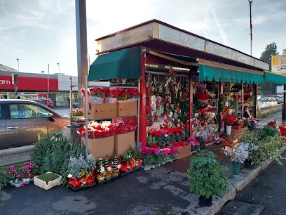 Il Pensiero Di Giorgio, Fiorista a Roma