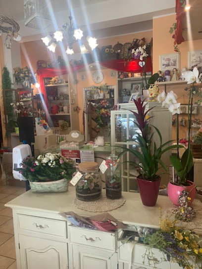 Fiorista La Mimosa, Fiorista a Monte San Pietro