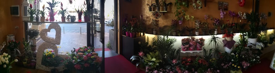 Akira Fiori E Piante, Fiorista a Sant'Agata li Battiati