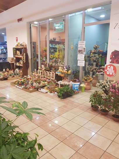 Punto Verde, Fiorista a San Marco Argentano