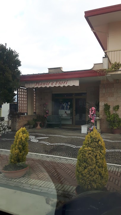 Natali Maria La Casa del Fiore, Fiorista a Morolo
