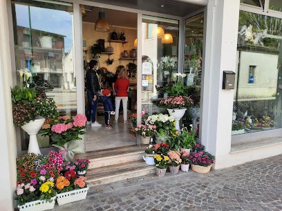 L'Angolo Stefania Fiori, Fiorista a Conselve