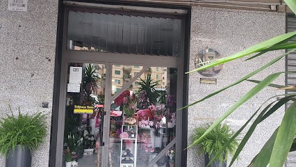 Il Tulipano Nero Di Panciulo Antonio, Fiorista a Salerno