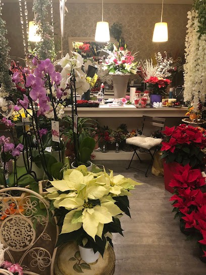 The Red Rose, Fiorista a Urbisaglia