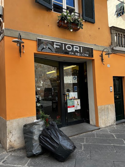 F. Lli Del Cima Srl, Fiorista a Lucca