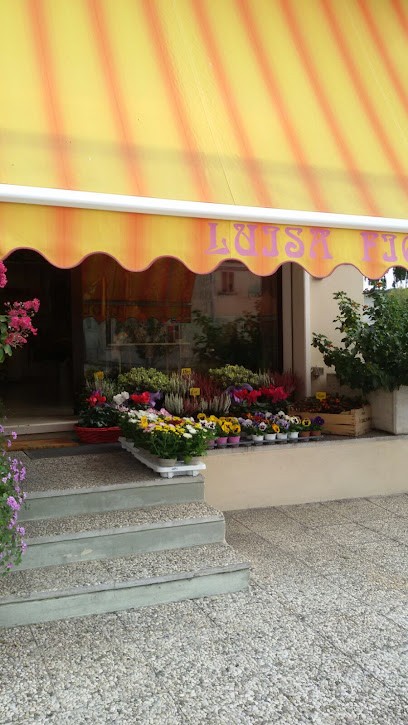 Fioreria Luisa Fiori, Fiorista a Pressana