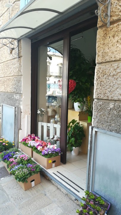 Magnolia Laboratorio Floreale, Fiorista a Galatone