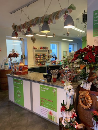 Flora Folies di Traverso Marco, Fiorista a Chieri